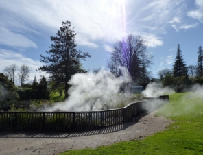 Kuirau Park Rotorua